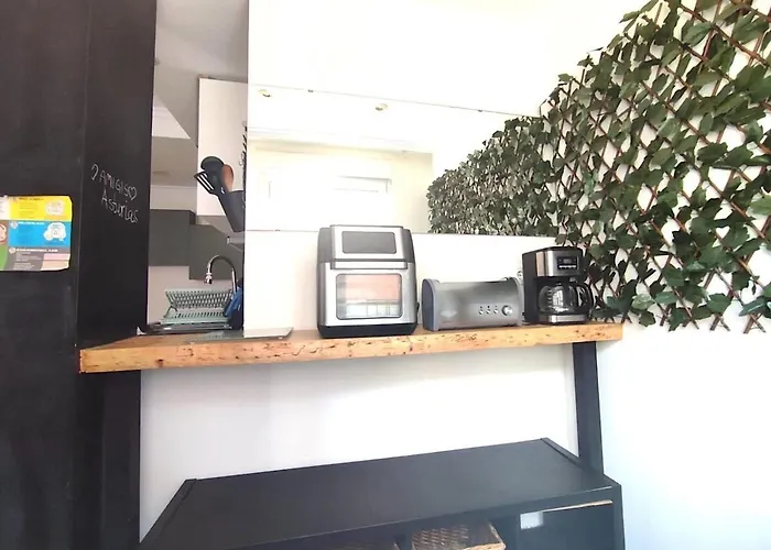 625b 4 Pumarin Oviedo